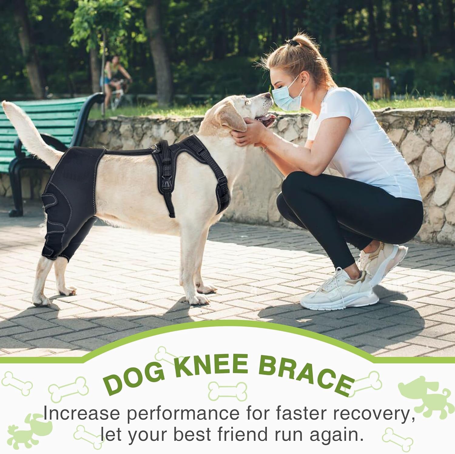 Why Your Pet Needs the Knee Brace Joint Protection Support Strap